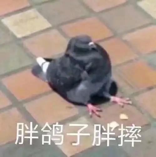 有病的冷知识