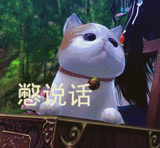 云养猫时代,你都养的谁家的猫