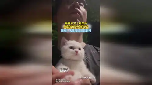 猫咪和主人看热闹,两个表情动作神同步,猫咪叽里呱啦都在讲啥
