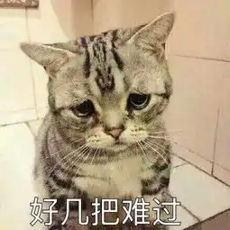 超可爱猫咪撒娇表情包撒个娇萌死你