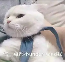 小螺号照片小螺号相册大全yy官方