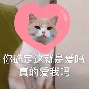 成都财务审计公司财务审计需实现怎样的目标