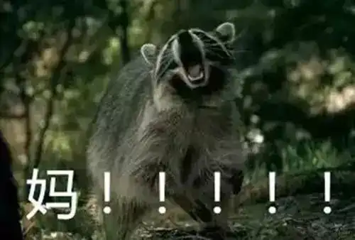 泰州人,小心秋天的蚊子更厉害这些防蚊小知识你要了解