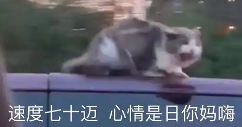 公司把政府补贴,当成工资扣,抠疯了