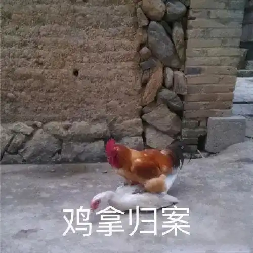 不小心给领导送去了猫片尴尬到把床单磨出大洞