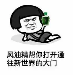 有什么事是一滴风油精不能解决的表情包完整版下载飞翔下载