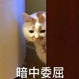宁波家长竞选家委会也一样疯狂一位宁波妈妈说出内情