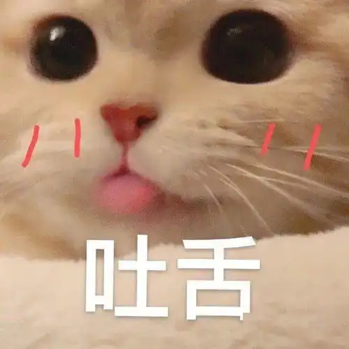学习学到忘记看手机,这种感觉超爽
