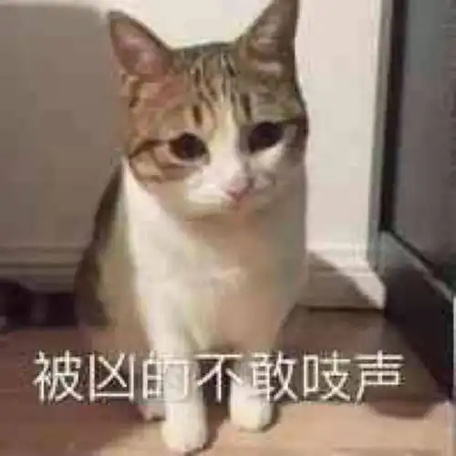 魃壹的想法劲劲爆
