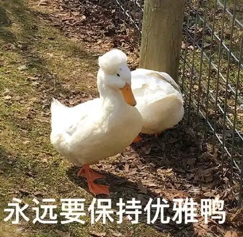 谁穿谁丑的5件单品,我拜托你立马扔掉