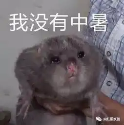 江西小哥竹鼠的1000种吃法都比不过这些生吃乌龟章鱼,和火锅底料的沙雕