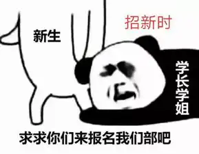 论新生如何优雅面试的秘诀