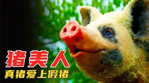 假猪被土豪猪视为猪美人,全都跟它献殷勤,动物间谍纪录片