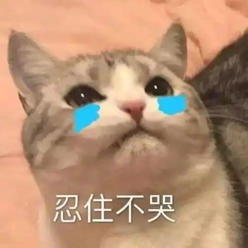 打篮球能促长高你可能被骗了