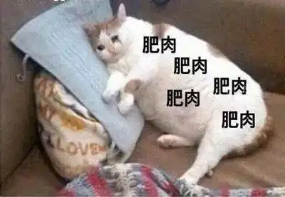 请问一下赛乐赛减肥药对身体有副作用吗