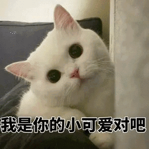 关于小可爱的表情包35张我是你的小可爱吗
