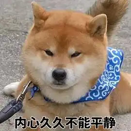 会计师事务所的小姐姐从来不用租房这些福利让人羡慕到爆