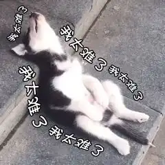 考研女生的苦,男生不会懂