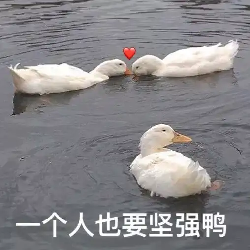 studiosr秀场资讯拿什么来拯救你,我的少女心