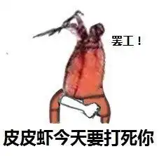皮皮虾造反了什么梗表情包大全