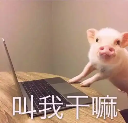 就这鬼热的天气,拼了老命我也要去见老公彭于晏