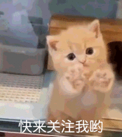 小宝宝突然对狗狗做出这个动作,汪星人当场就惊呆了