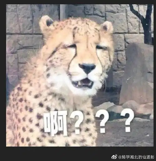屈楚萧否认与万籽麟恋情没恋爱别挡姑娘好姻缘