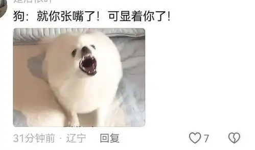 男子劝媳妇怀孕不能吃雪糕,小狗龇牙咧嘴护主,评论区笑死
