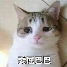 欢笑集锦爸爸,他一直在骂你变态