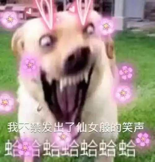 皮一下是不是就很开心
