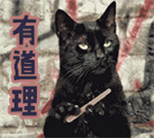 注意全武汉最酷的狼王争霸赛正式开启,万元大奖等你拿