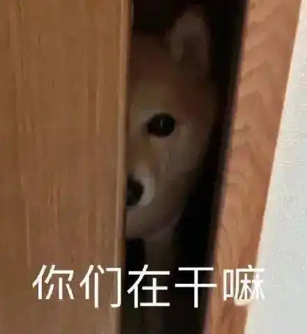 今日份表情包精选