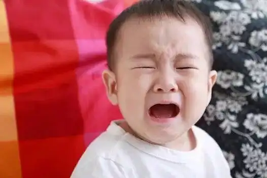哈法育儿专家经验分享年轻妈妈想知道的都在这里