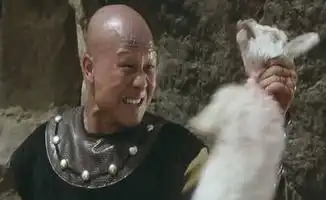 少林寺时隔35年他病魔缠身,她身家上亿,而他却去世了
