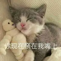 动物带字表情包微信头像图片大全