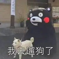 抖音遛狗头像