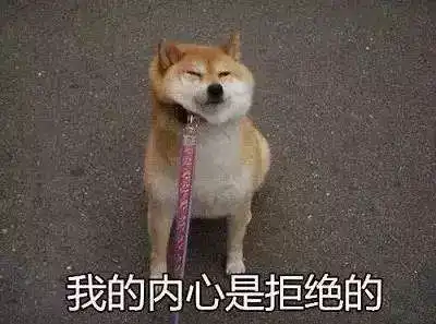 ibs丨中国风比丑大赛又来了你们歪果仁是不是对狗年有什么误解....