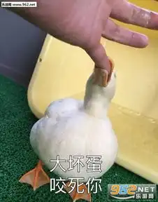 宝贝入我怀鸭子表情包图片大全生气地走了鸭鸭表情包下载乐游网游戏下载