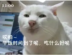 猫咪演绎上班族的一天