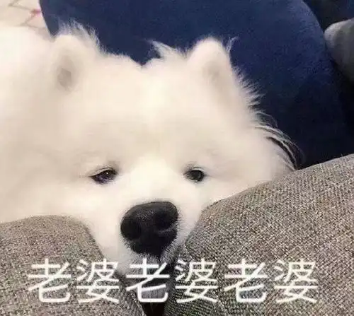濮存昕的相册头像
