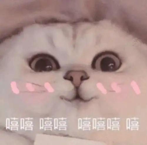 土味发夹火了这2块钱的发饰,女明星都爱惨了
