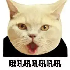 猫脸熊猫人表情包