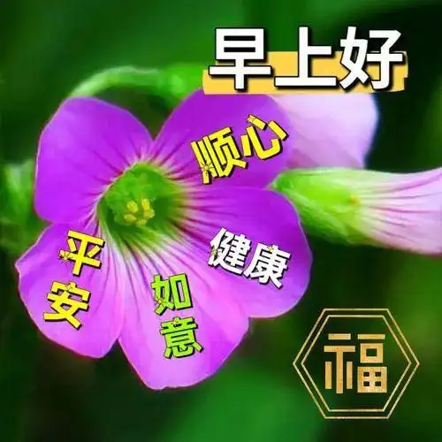 今日最新早上好表情包图片大全,愿你事事顺心,快乐相随