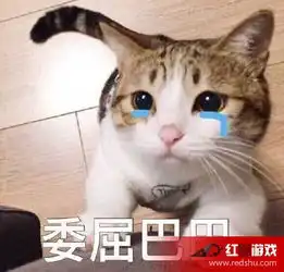 委屈巴巴猫表情包图片有个很委屈的委屈巴巴猫表情包