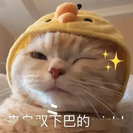 州庆放4天,你准备哪点耍
