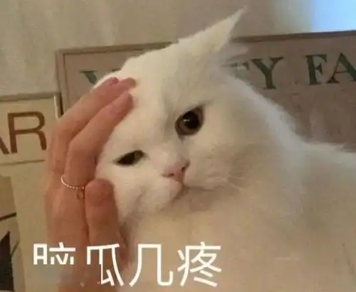 应聘漫画勾线助理被拒,到底是我画的太差还是被骗稿