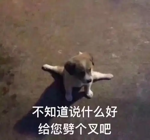 赵丽颖离婚的背后留给冯绍峰最后的体面