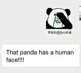出柜和出轨哪个更可怕00