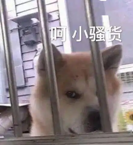 据说,每个云南人都有吃菌中毒的朋友