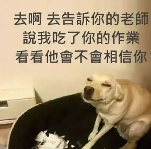 宠物狗撕碎了作业,小主人伤心欲绝,老师再给你发一套作业